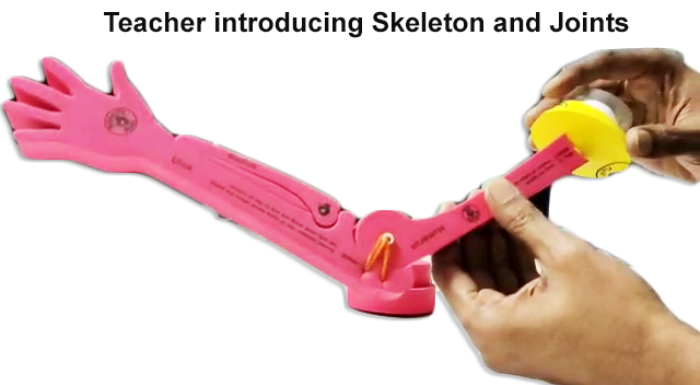 Class 6 Math and Science 1 Class 6 Math and Science